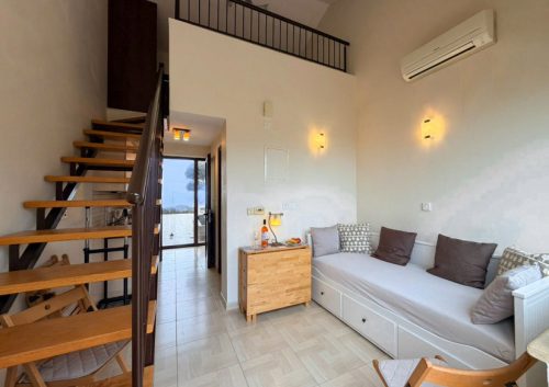 Adobe-Express-file-5